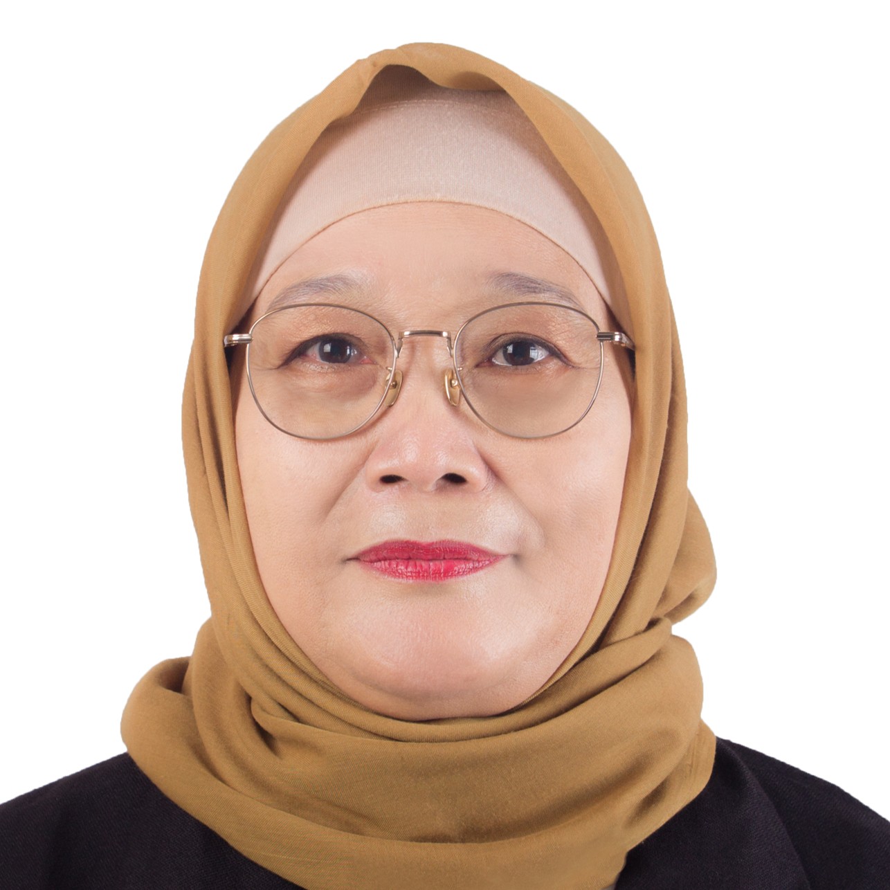 Prof. Dra. Tuty Arisuryanti, M.Sc., Ph.D. picture